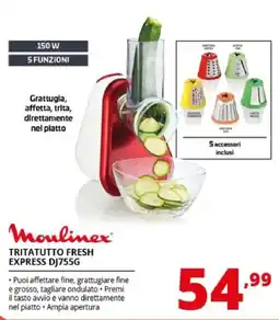 Comet Moulinex TRITATUTTO FRESH EXPRESS DJ755G offerta