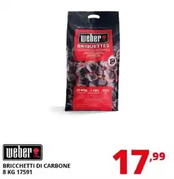 Comet Weber Bricchetti di carbone offerta