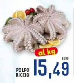 Jolly Market POLPO RICCIO offerta