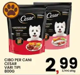 Interspar Cibo per cani Cesar offerta