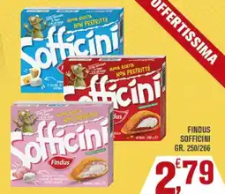 Conté Supermercati Sofficini Findus offerta