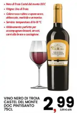 Interspar Vino Nero di Troia Castel del Monte DOC Pintisanto offerta