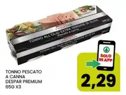 Interspar TONNO PESCATO A CANNA DESPAR PREMIUM offerta