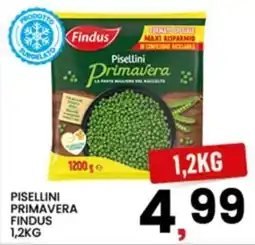 Interspar Pisellini Primavera Findus offerta