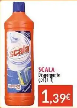 Sanitaria Demma SCALA Disgorgante gel offerta