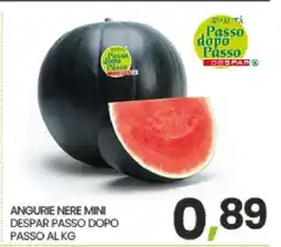 Eurospar ANGURIE NERE MINI offerta