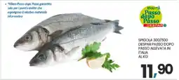 Eurospar SPIGOLA 300/500 offerta
