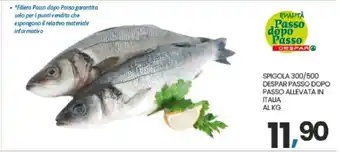 Eurospar SPIGOLA 300/500 offerta