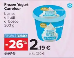 Carrefour Frozen Yogurt Carrefour offerta