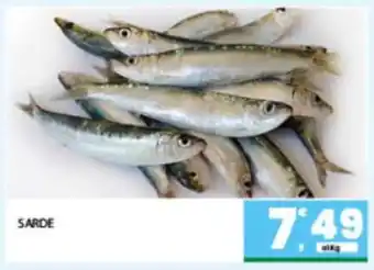 Sarde
