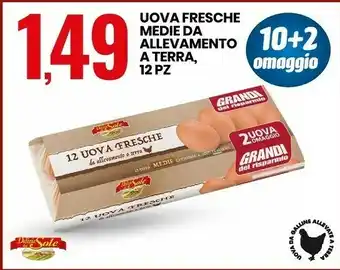 Uova fresche da allevamento a terra