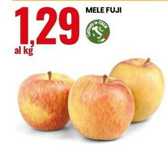Eurospin Mele fuji offerta