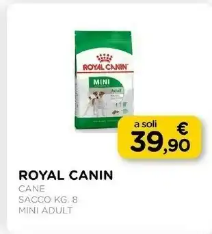 Arcaplanet Royal canin cane sacco offerta