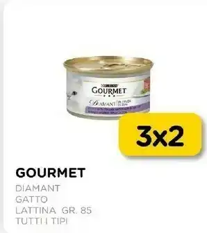 Arcaplanet Diamant gatto offerta