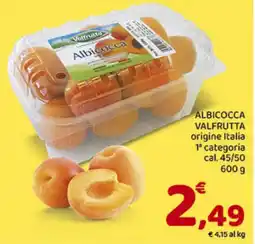 Conad Superstore Albicocca valfrutta offerta