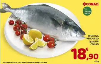 Conad Superstore Ricciola percorso qualità conad offerta
