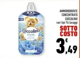 Conad Margherita Ammorbidente concentrato Coccolino offerta