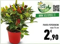 Conad Margherita Pianta Peperoncini offerta
