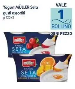 Galassia Yogurt MÜLLER Seta offerta