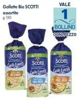 Galassia Gallette Bio SCOTTI offerta
