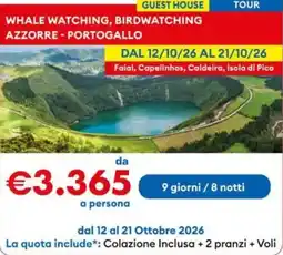 MD Discount Whale watching, birdwatching azzorre - portogallo offerta