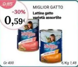 Re Mercato Lucrezia Miglior Gatto Lattina gatto varietà assortite offerta