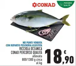 Conad City Ricciola Oceanica CONAD Percorso Qualità offerta