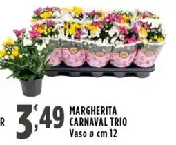 Rossotono Carrefour MARGHERITA CARNAVAL TRIO offerta