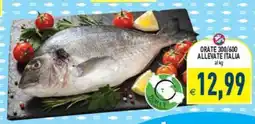 Supermercati Agorà ORATE 300/600 ALLEVATE ITALIA offerta