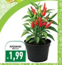 Supermercati Agorà PEPERONCINO offerta