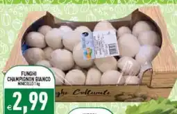 Supermercati Agorà Funghi Champignon Bianco Nimcollo offerta