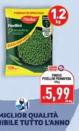 Supermercati Agorà Findus Pisellini Primavera offerta
