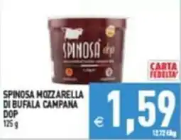 Supermercati Agorà SPINOSA MOZZARELLA DI BUFALA CAMPANA DOP offerta