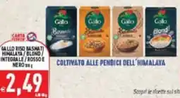 Supermercati Agorà Gallo Riso Basmati offerta