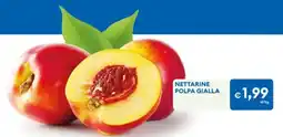 MD Discount Nettarine polpa gialla offerta