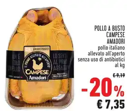 Conad Pollo a busto campese Amadori offerta