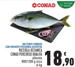 Conad Ricciola oceanica conad percorso qualità offerta