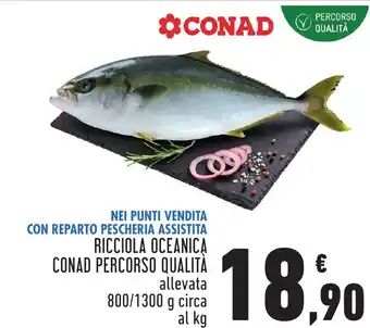 Conad Ricciola oceanica conad percorso qualità offerta