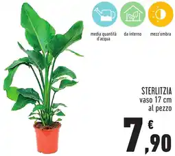 Conad Sterlitzia offerta