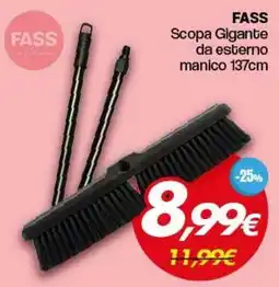 Franzy's FASS Scopa Gigante da esterno manico 137cm offerta