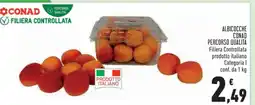 Conad ALBICOCCHE CONAD PERCORSO QUALITÀ offerta
