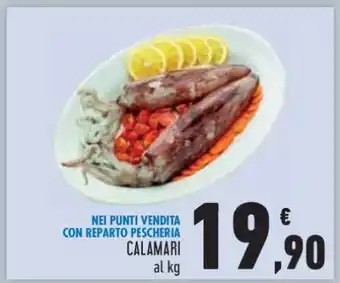 Conad CALAMARI offerta