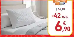 Conad Cuscino offerta