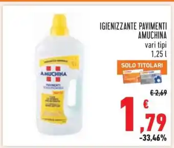 Conad IGIENIZZANTE PAVIMENTI AMUCHINA offerta