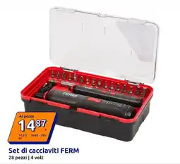 Action Set di cacciaviti FERM offerta