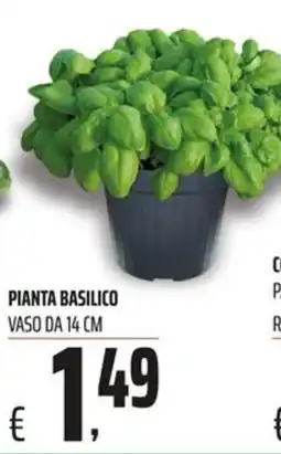 Coop PIANTA BASILICO offerta