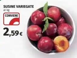 Coop SUSINE VARIEGATE offerta
