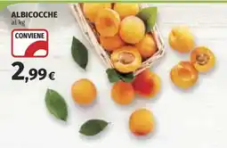 Coop ALBICOCCHE offerta