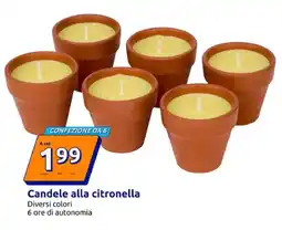 Action Candele alla citronella offerta