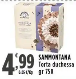 Rossotono Carrefour Sammontana Torta duchessa offerta